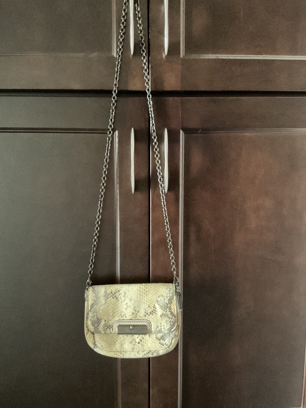 Coach Leather snake print bag